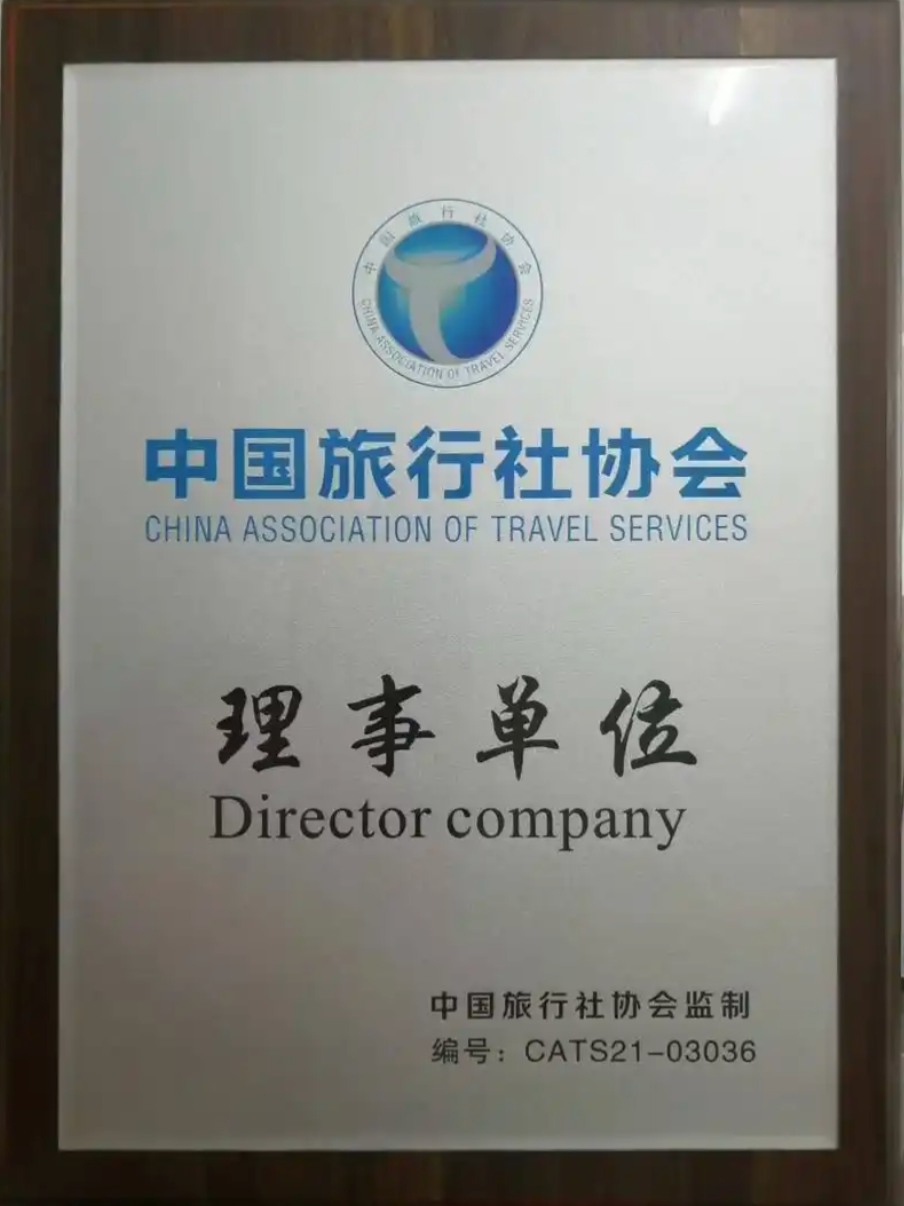 Council Member of China Association of Travel Services